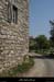 20100425_boislabeaume_pisteabeille