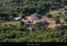 20100711_labeaume_abeille_13