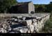 20100919_labeaume_abeille3