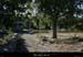 20100919_labeaume_abeille4