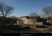 20101204_labeaume_abeille2