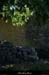20130510_labeaume_abeille5