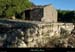 20130510_labeaume_abeille_dependances02