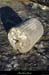 20130510_labeaume_abeille_dependances09