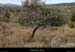 20140216_labeaume_graspresabeille