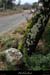 20140216_labeaume_pisteabeillenord1