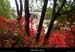20131020_avptbigournetterd2