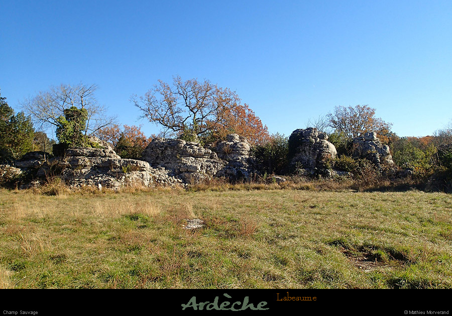 20131207_labeaume_champssauvage3
