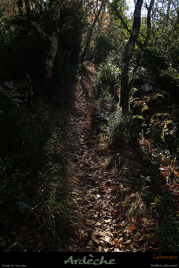 20131207_labeaume_sentierdusauvage