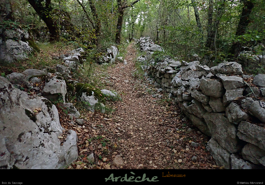 20191006_sentierpresabeille