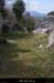 20090329_labeaume_champsauvage1