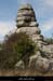 20090329_labeaume_champsauvage4