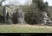 20090329_labeaume_champsauvage5