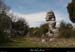 20090329_labeaume_champsauvage6