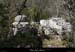 20090329_labeaume_champsauvage8