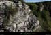 20100919_labeaume_boissauvage05