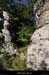 20100919_labeaume_boissauvage06