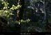 20100919_labeaume_boissauvage08
