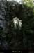 20100919_labeaume_boissauvage11