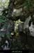 20100919_labeaume_boissauvage13