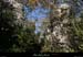 20101204_labeaume_boissauvage6