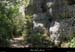 20110417_labeaume_boissauvage1