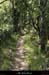 20110417_labeaume_boissauvage2