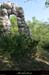 20110417_labeaume_boissauvage3