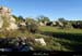 20131111_labeaume_champsauvage1