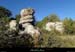 20131111_labeaume_champsauvage2