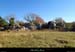 20131207_labeaume_champssauvage3