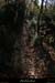 20131207_labeaume_sentierdusauvage