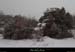 20180228_065