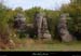 20191006_sauvage3
