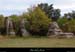 20191006_sauvage4