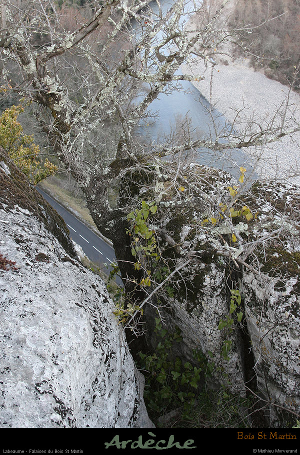 20090315_boisstmartin_falaisesardeche1