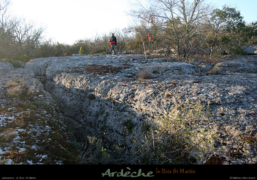 20090315_boisstmartin_htfalaises4
