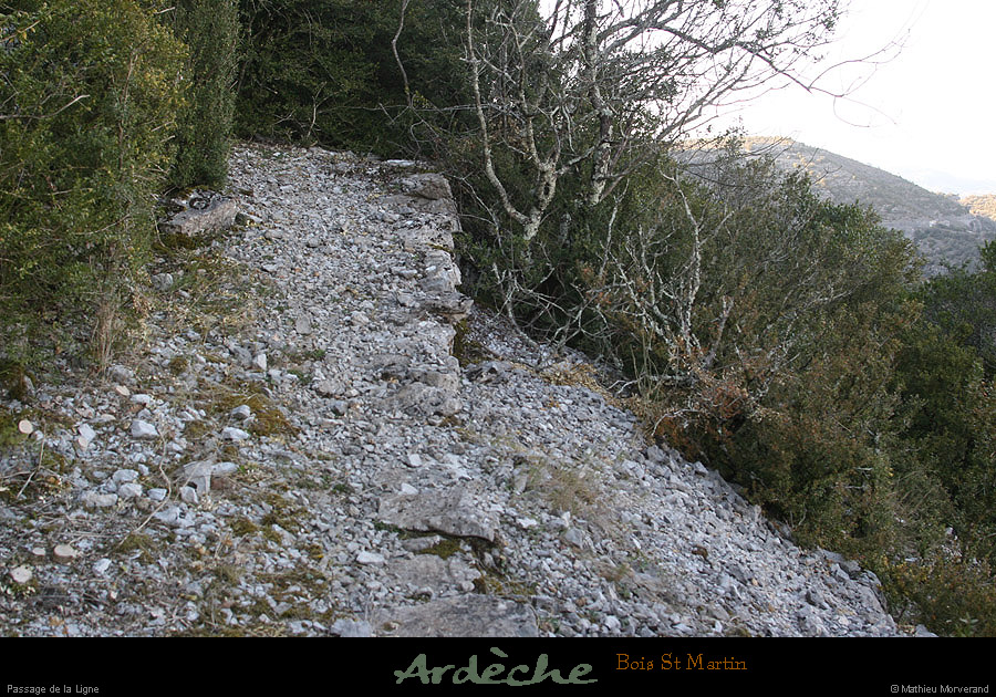 20090315_passageboisstmartin_sentier1