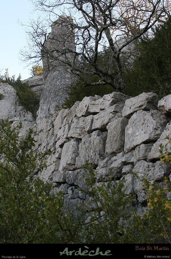 20090315_passageboisstmartin_sentier3