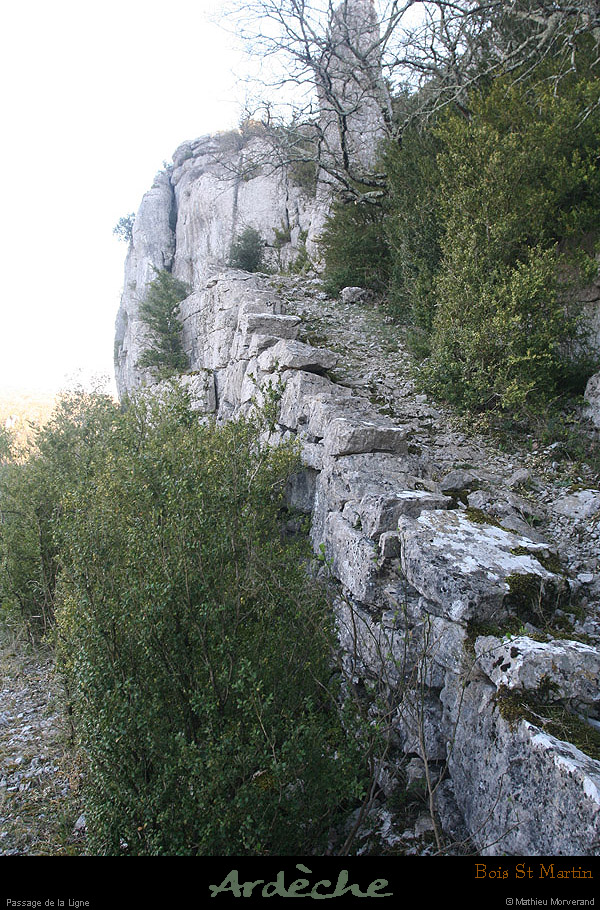 20090315_passageboisstmartin_sentier4