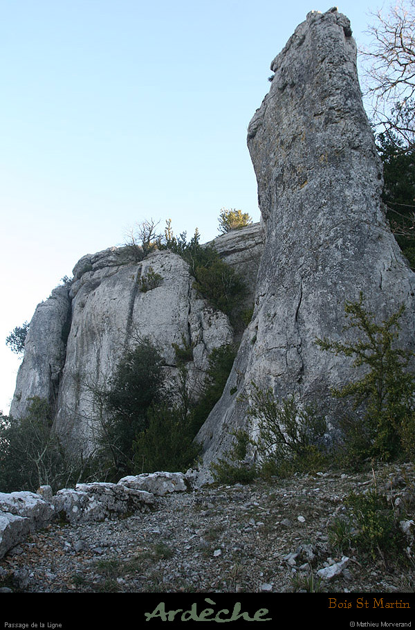 20090315_passageboisstmartin_sentier6