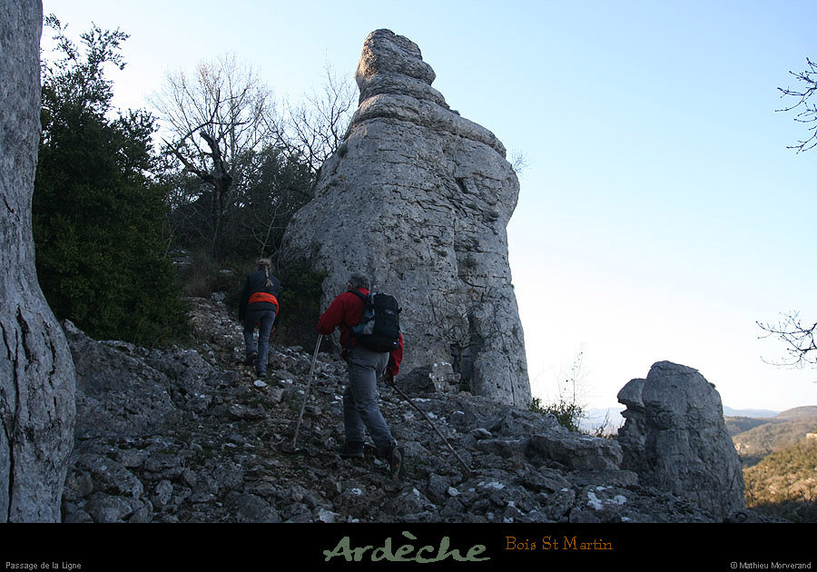 20090315_passageboisstmartin_sentier9