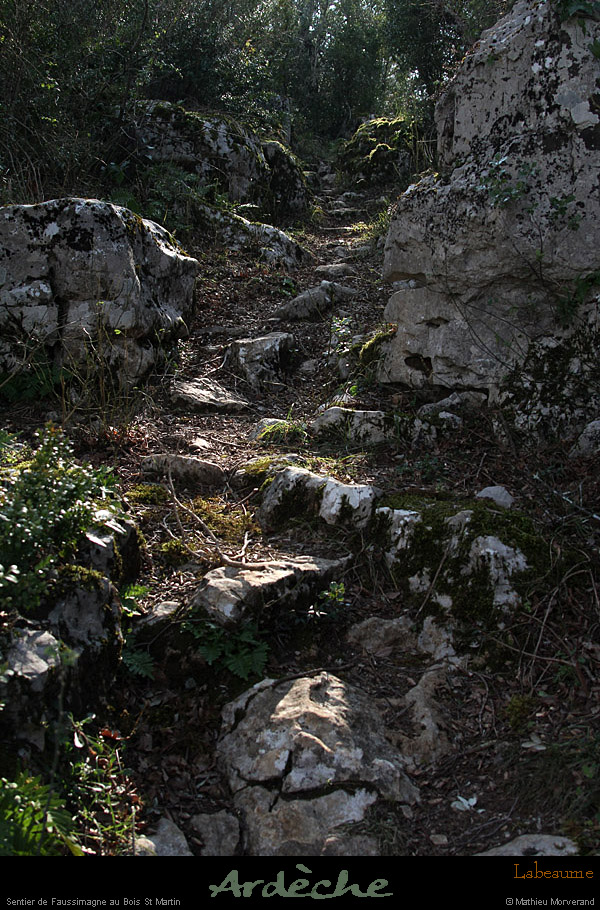 20130223_labeaume_boisstmartin_sentier2