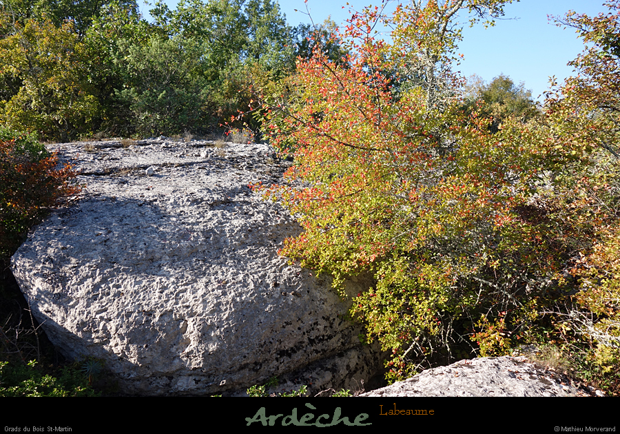 20181021_gr25