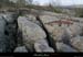 20070317_labeaume_grasdeboisstmartin5