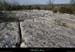 20070317_labeaume_grasdeboisstmartin6