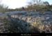 20090315_boisstmartin_htfalaises4