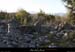 20090315_boisstmartin_sentier01