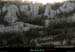 20090315_passageboisstmartin