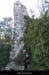 20090315_passageboisstmartin_sentier10